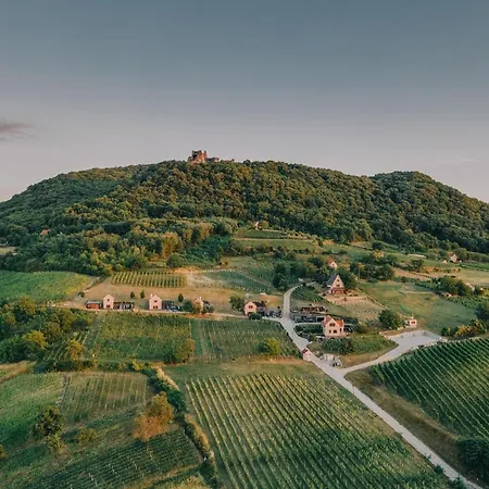 The Real Relaxation At Winery Apartament *