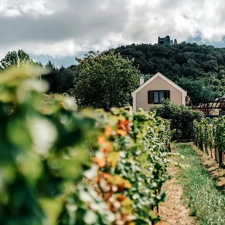 Appartamento The Real Relaxation At Winery Somloszolos