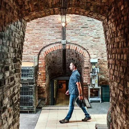 The Real Relaxation At Winery Somloszolos