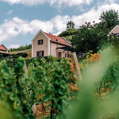 The Real Relaxation At Winery * Somloszolos
