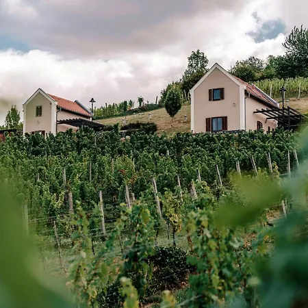 The Real Relaxation At Winery