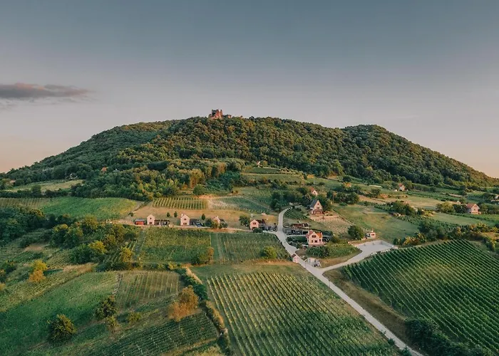 The Real Relaxation At Winery Lejlighed *