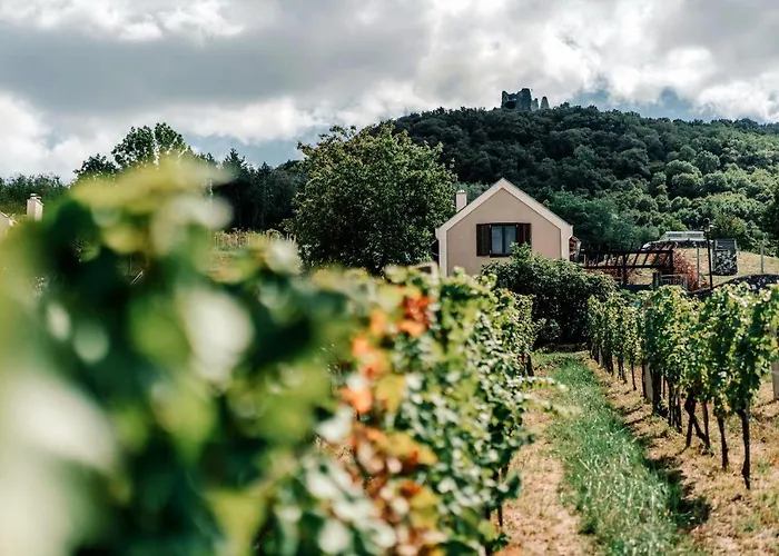 Lejlighed The Real Relaxation At Winery Somloszolos