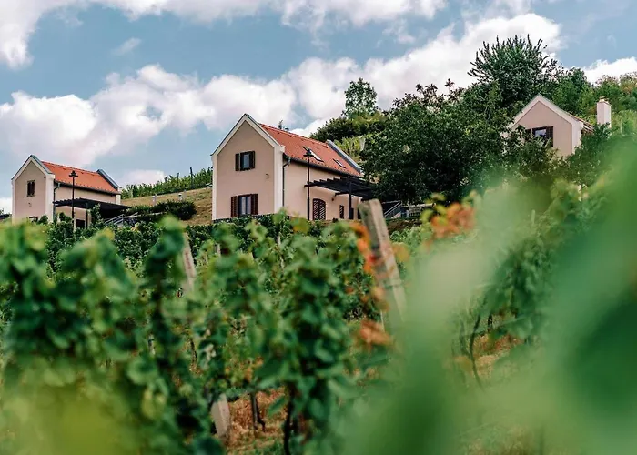 The Real Relaxation At Winery * Somloszolos