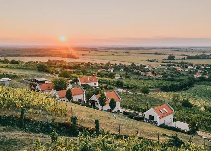 The Real Relaxation At Winery