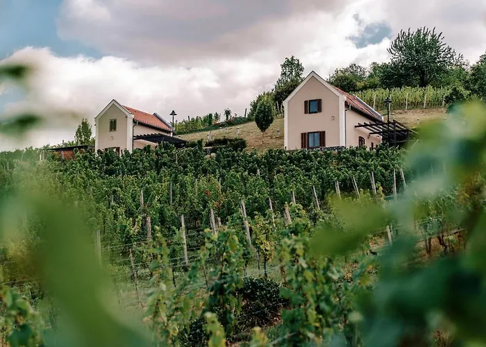 The Real Relaxation At Winery