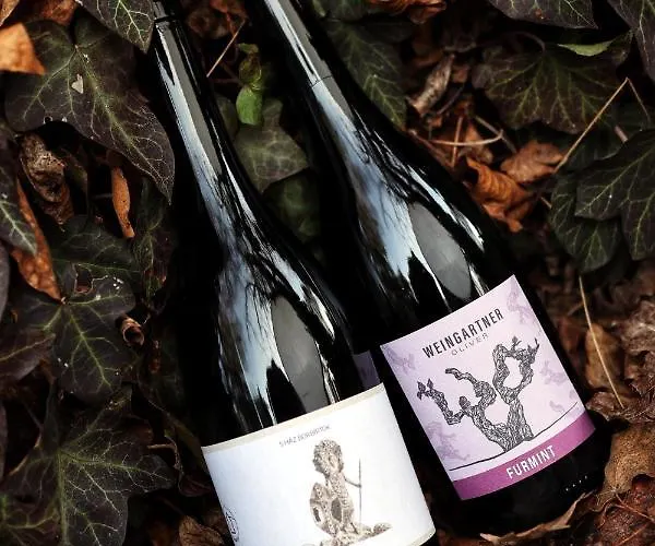 Apartament The Real Relaxation At Winery Somloszolos